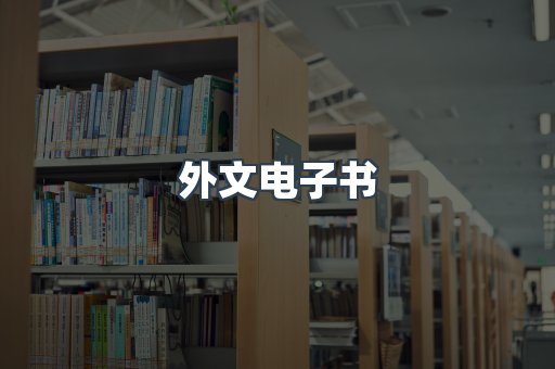 外文电子书